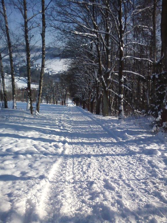Privat Pohoda Paseky nad Jizerou Kültér fotó