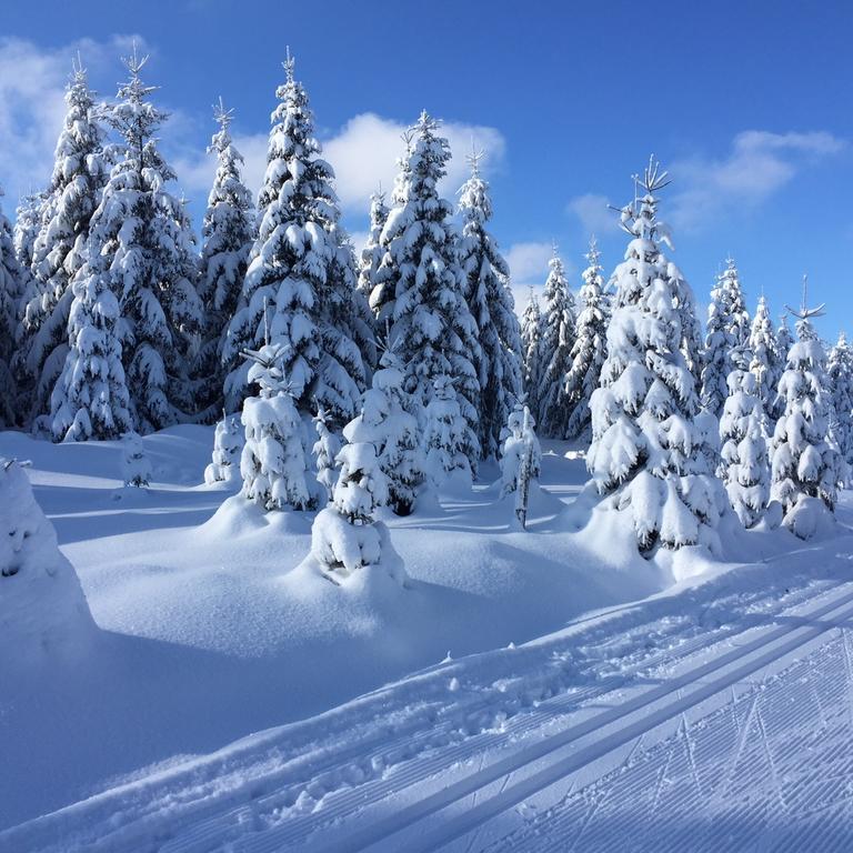 Privat Pohoda Paseky nad Jizerou Kültér fotó